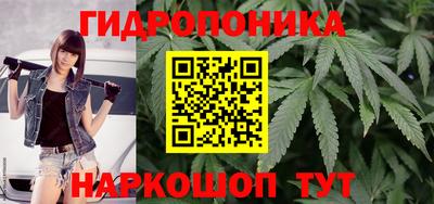 ECSTASY Конаково