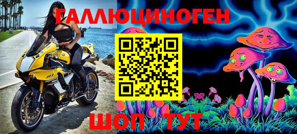 Псилоцибиновые грибы GOLDEN TEACHER Казань