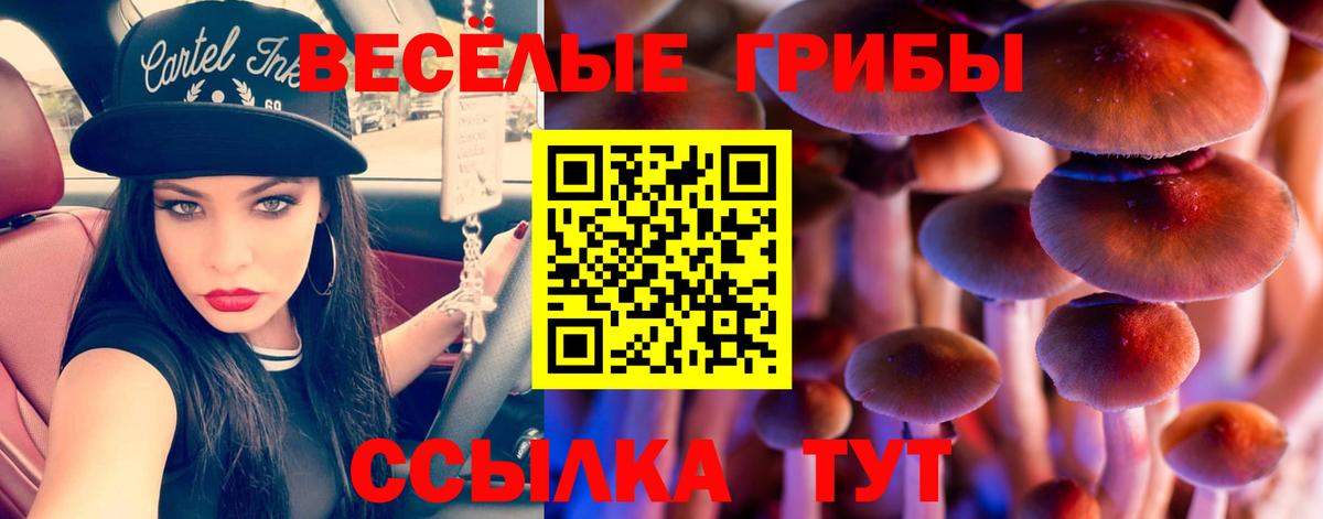 Казань  Псилоцибиновые грибы мухоморы  магазин  наркотиков  Вход с VPN 